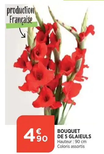Bi1 Bouquet De 5 Glaieuls offre