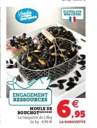 Moule De Bouchot