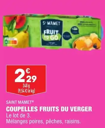 SAINT MAMET coupelles fruits du verger