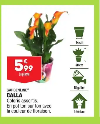 ALDI Calla offre