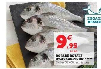 Super U Dorade Royale D'aquaculture offre