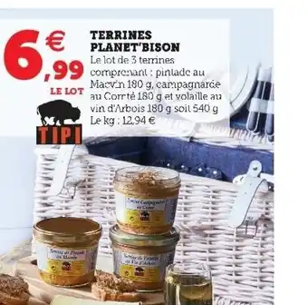 Terrines Planet Bison