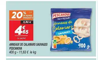 Netto Anneaux De Calamars Sauvages Pescanova offre