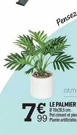 Le Palmier