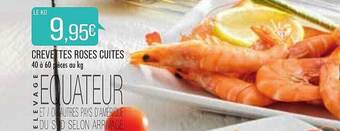 Match Crevettes Roses Cuites offre