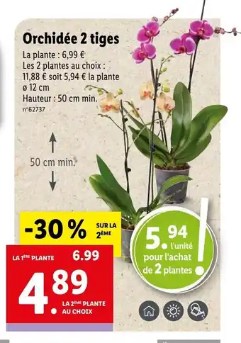 Lidl Orchidée 2 Tiges offre
