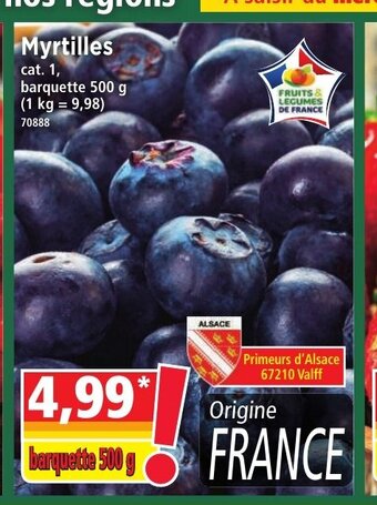 Norma Myrtilles offre