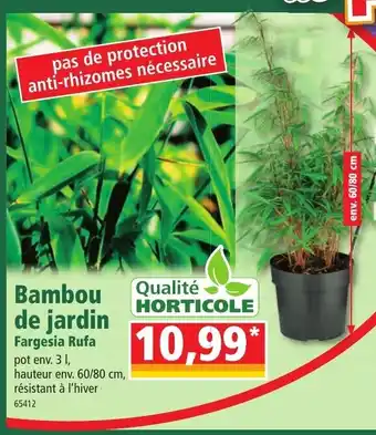 Norma Bambou De Jardin offre