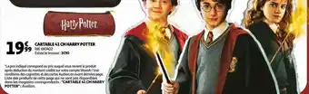 Auchan Cartable 41 cm harry potter offre