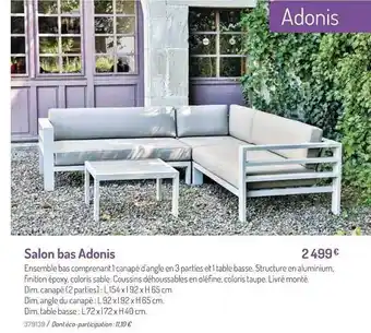 Botanic Salon Bas Adonis offre