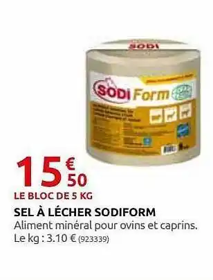 Rural Master Sel à Lécher Sodiform offre