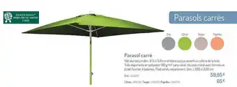 Botanic Parasol Carré offre