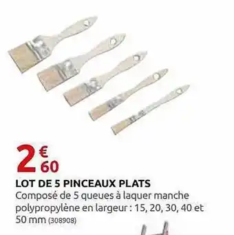 Rural Master Lot De 5 Pinceaux Plats offre