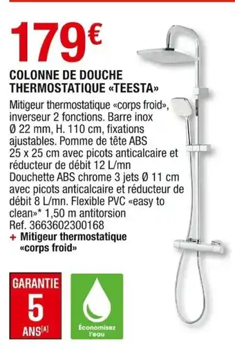 Colonne de Douche Thermostatique Teesta