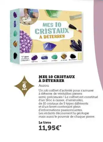 Hyper U Mes 10 Cristaux À Déterrer offre