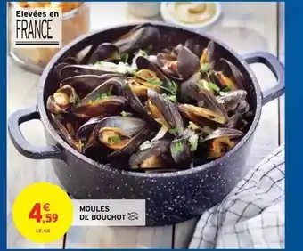 Intermarché Hyper Moules De Bouchot offre