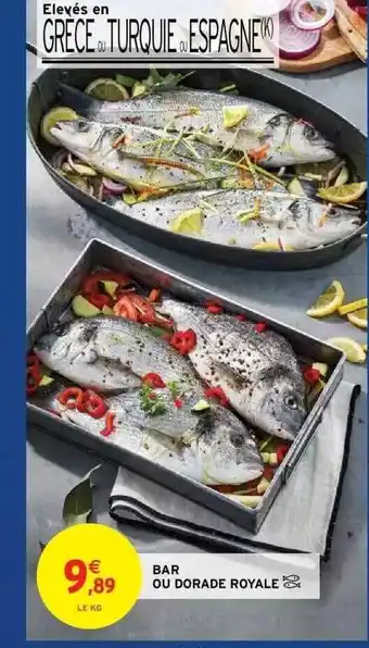 Intermarché Hyper Bar Ou Dorade Royale offre
