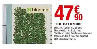Brico Dépôt Treillis Extensible Blooma offre