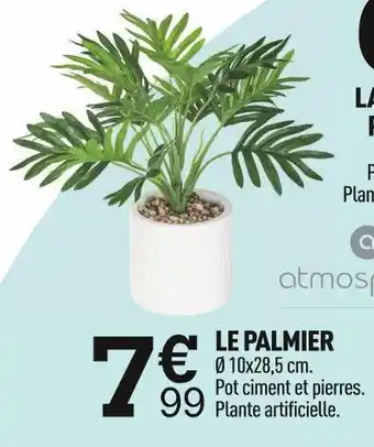 Centrakor Atmosphera le palmier offre