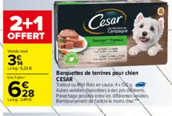 Barquettes de terrines pour chien