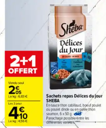 Carrefour Sachets repas délices du jour offre