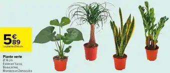 Carrefour Plante Verte offre