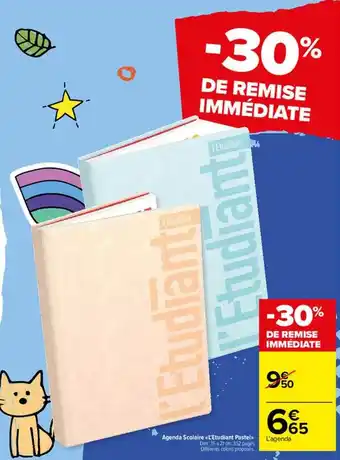 Carrefour Market Agenda Scolaire «l'étudiant Pastel» offre