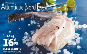 Auchan Queue de lotte offre