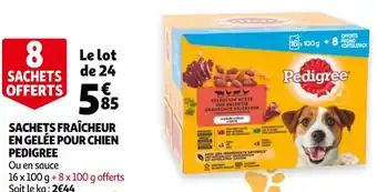 Auchan Pedigree sachets fraîcheur en gelée pour chien offre