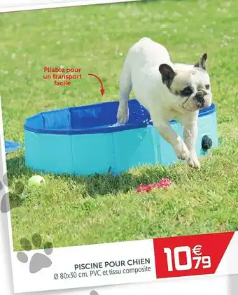 Gifi Piscine Pour Chien offre
