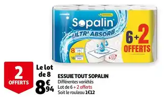 Auchan Sopalin essuie tout offre