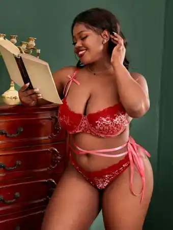 SheIn Ensemble de lingerie en dentelle croisé à nœud à nœud papillon à armature offre