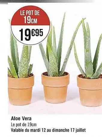 Aloé Vera