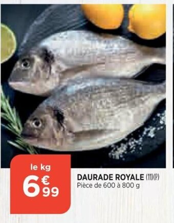 Bi1 Daurade Royale offre