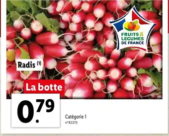 Lidl Radis offre