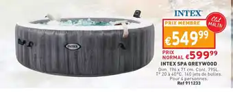 Trafic Intex Spa Greywood Ref 911233 offre