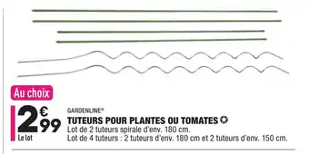 ALDI Tuteurs Pour Plantes Ou Tomates offre