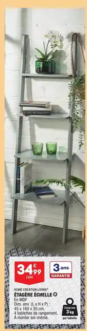 ALDI Étagère Échelle offre