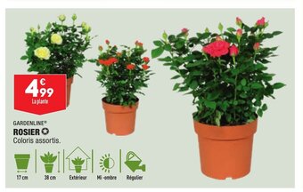 ALDI Rosier offre