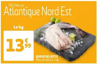 Auchan Queue De Lotte offre