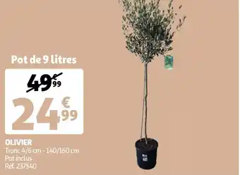 Auchan Olivier offre
