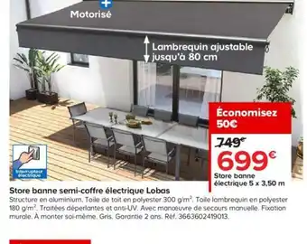 Castorama Store Banne Semi-Coffre Électrique Lobas offre