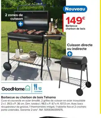 Castorama Barbecue Ou Charbon de Bois Tehama offre
