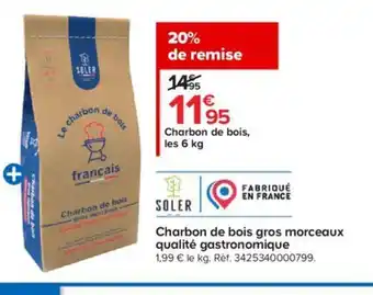 Castorama Charbon de Bois Gros Morceaux Qualité gastronomique offre