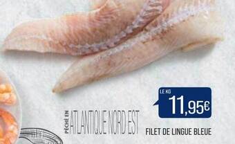 Match Filet De Lingue Bleue offre