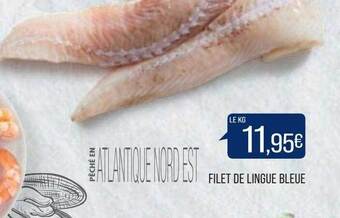 Match Filet De Lingue Bleue offre