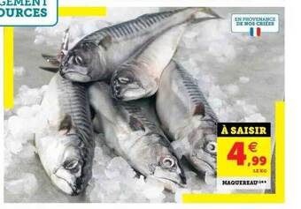Super U Maquereau offre