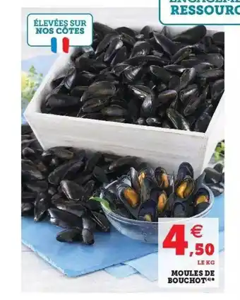 Super U Moules De Bouchot offre