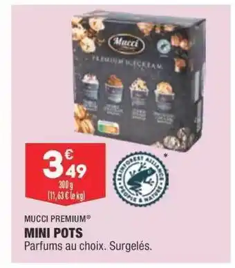 ALDI Mucci Premium Mini Pots offre