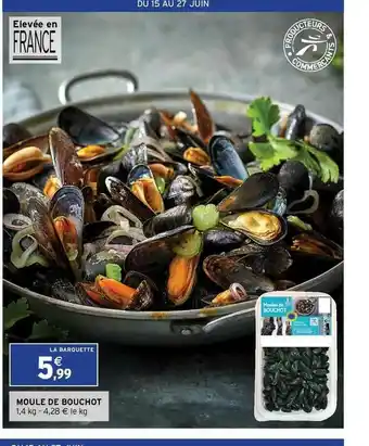 Moule De Bouchot